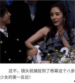 娱乐明星八卦吃瓜